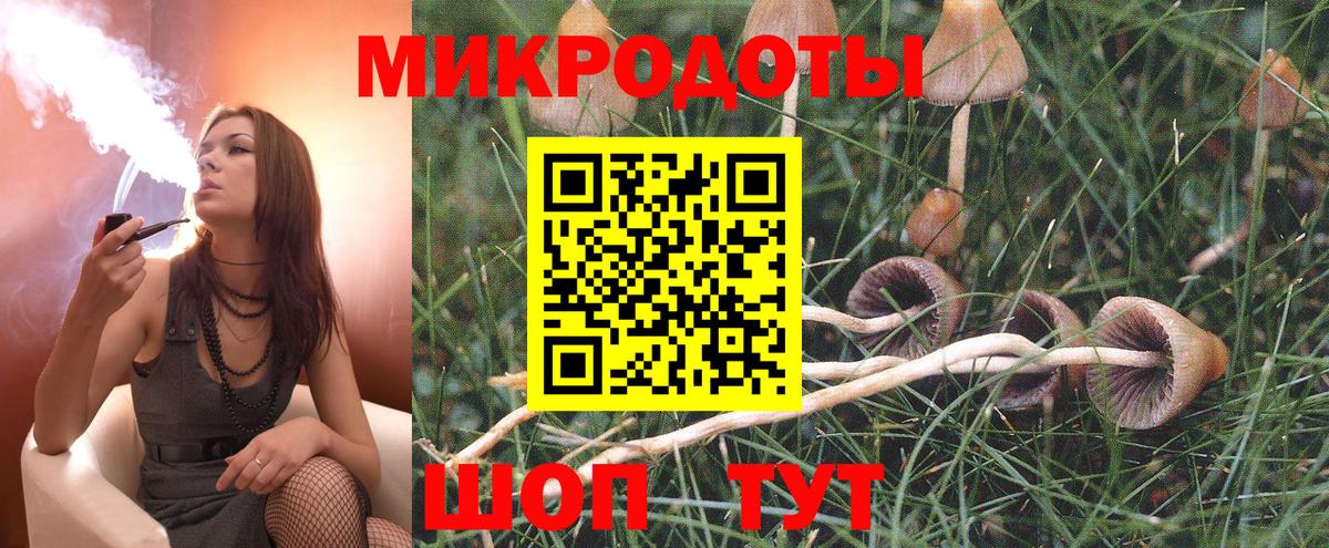 Галлюциногенные грибы прущие грибы Владимир