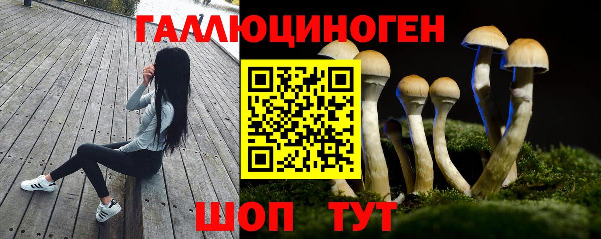 Галлюциногенные грибы мухоморы  Вход с VPN  Владимир 